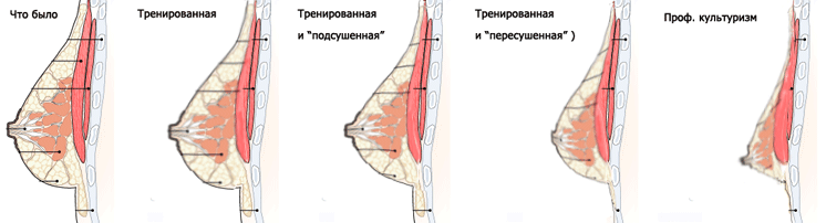 http://fatalenergy.com.ua/grd_fatalen.gif