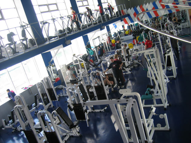 Master Gym