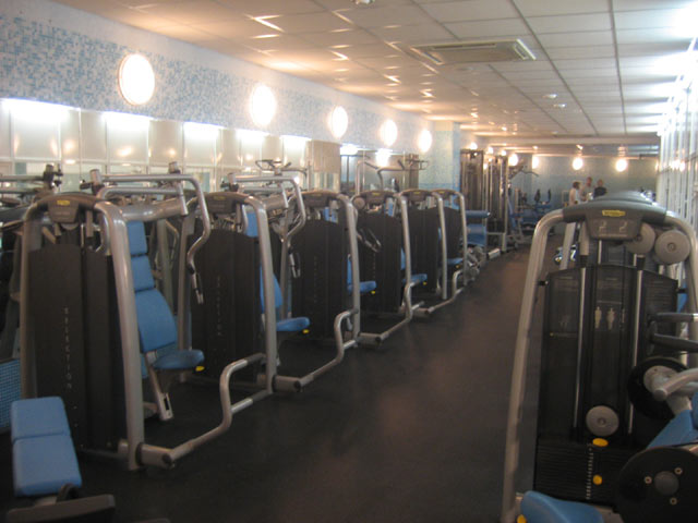 Master Gym