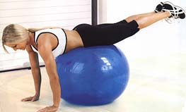 �������� ��������� (Reverse Back Extension)