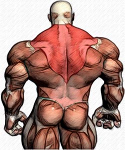 http://fatalenergy.com.ua/power/uploads/posts/2011-07/1310546955_0.jpg