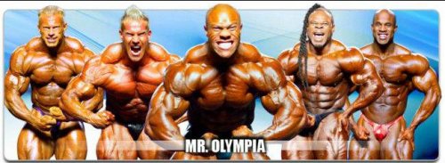 ����� ��������� Olympia Weekend 2013