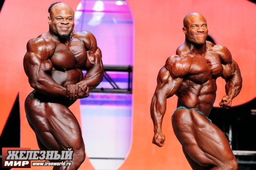 "Mr. Olympia 2013". ����� ������������