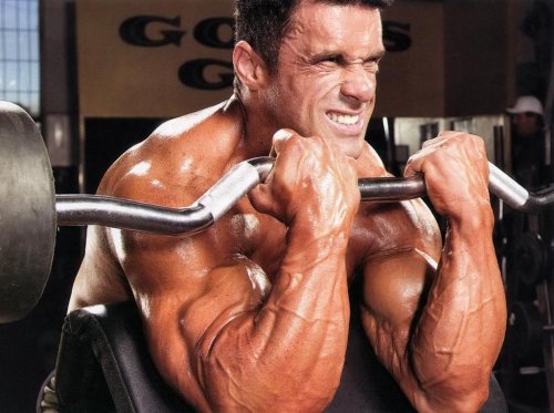 http://fatalenergy.com.ua/power/uploads/posts/2013-10/thumbs/1381022144_bigger-biceps.jpg