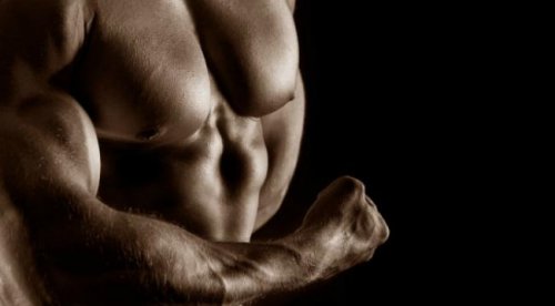http://fatalenergy.com.ua/power/uploads/posts/2013-10/thumbs/1382136207_chest_2.jpg