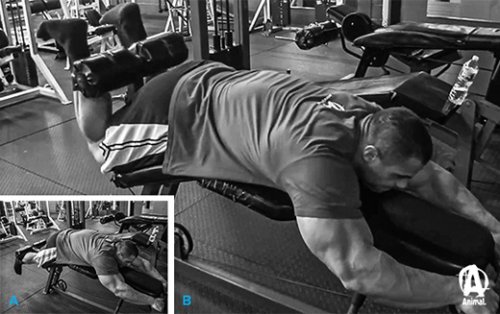 http://fatalenergy.com.ua/power/uploads/posts/2013-11/thumbs/1384083113_get-a-leg-up-3.jpg